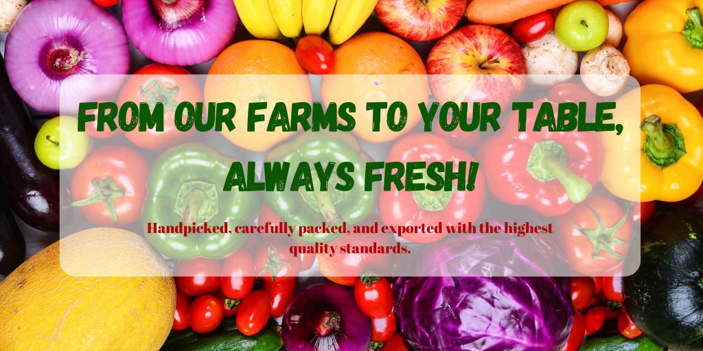 fresh agriculture products wholesale export worldwide