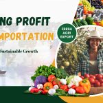 Maximizing Profit in Food Importation: A Strategic Guide for Sustainable Growth