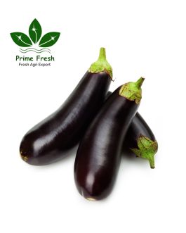 Premium Export-Quality Long Eggplant