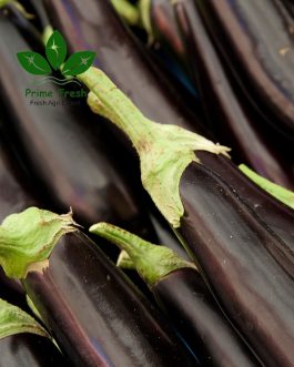 Premium Export-Quality Long Eggplant