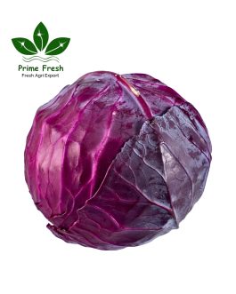 Premium Iranian Red Cabbage – Bold Flavor & Export Quality