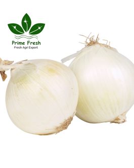 Premium Iranian White Onion – Pure, Crisp & Export-Grade