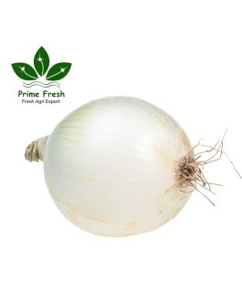 Premium Iranian White Onion – Pure, Crisp & Export-Grade