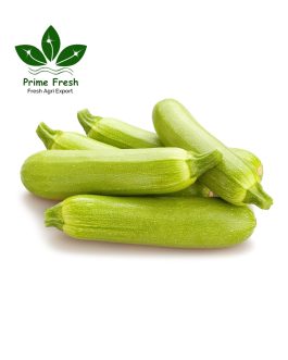 Premium Export-Quality Zucchini – Sweet & Vibrant