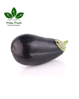 Premium Export-Quality Globe Eggplant – Lab-Tested
