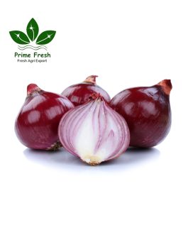 Iranian Red Onion – Bold Flavor, Superior Quality