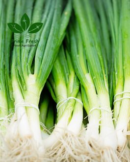 Fresh Iranian Spring Onions – Premium Quality with Exceptional Aroma